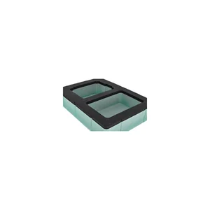 Flyht Pro Inlay Case Neural DSP Nano