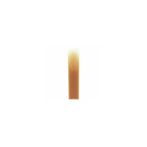 Forestone Alto Saxophone H