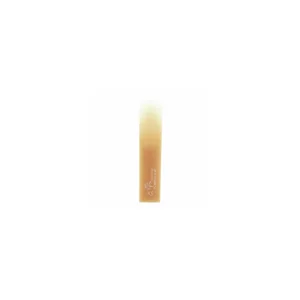Forestone Alto Saxophone XS