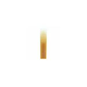 Forestone Alto Saxophone XXS