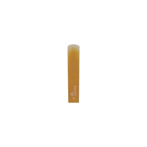 Forestone Baritone Saxophone XS