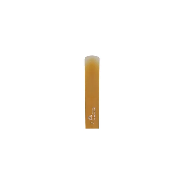 Forestone Baritone Saxophone XS