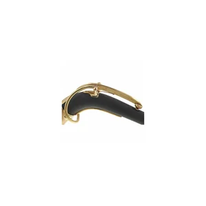 Forestone Carbon S- Neck for Alto Sax