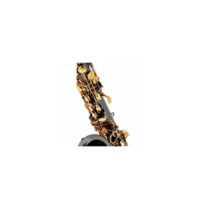 Forestone GX Black Nickel Alto Sax