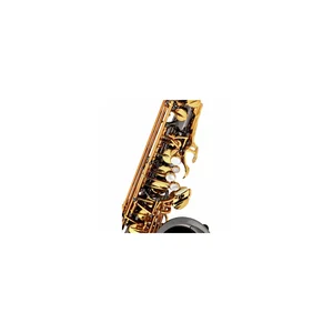 Forestone GX Black Nickel Alto Sax