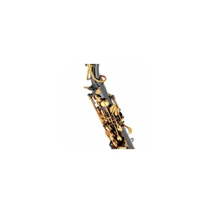Forestone GX Black Nickel Alto Sax
