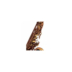 Forestone GX Cognac Lacquered Alto Sax