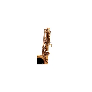 Forestone GX Cognac Lacquered Tenor Sax