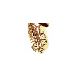 Forestone GX Gold Lacquered Alto Sax