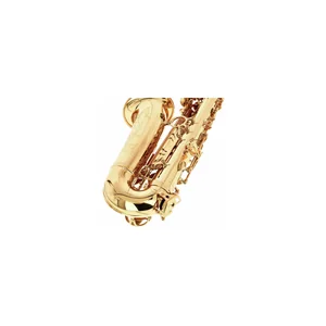 Forestone GX Gold Lacquered Alto Sax