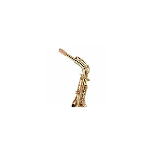 Forestone GX Gold Lacquered Alto Sax