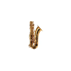 Forestone GX Gold Lacquered Tenor Sax