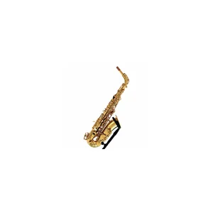 Forestone RX Gold Lacquered Alto Sax
