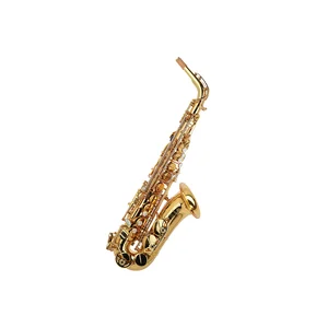 Forestone RX Gold Lacquered Alto Sax