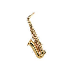 Forestone RX Gold Lacquered Alto Sax