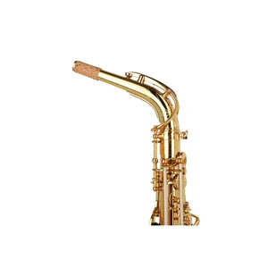 Forestone RX Gold Lacquered Alto Sax