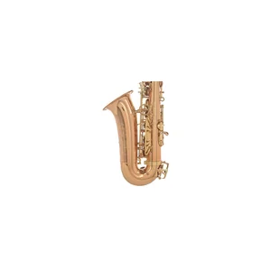 Forestone RX Red Brass GL Alto Sax