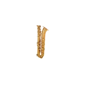 Forestone SX Gold Lacquered Baritone Sax