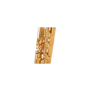 Forestone SX Gold Lacquered Baritone Sax