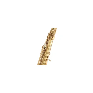 Forestone SXII Cognac Lac. Soprano Sax