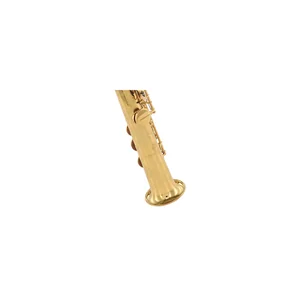 Forestone SXII Cognac Lac. Soprano Sax