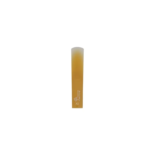 Forestone Tenor Saxophone XS