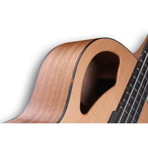 Furch Bc 61-CM5 Fretless