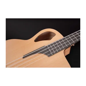 Furch Bc 61-CM5 Fretless