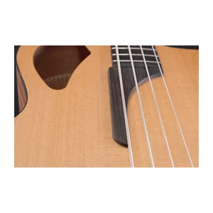 Furch Bc 61-CM5 Fretless