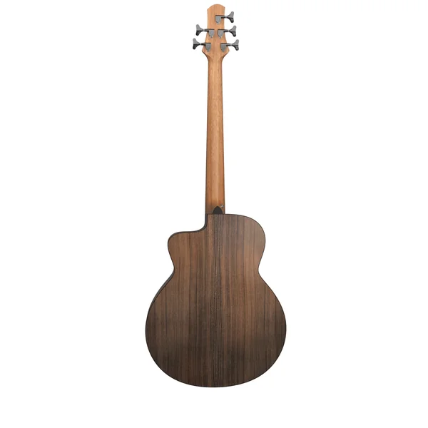 Furch Bc 62-SW 5 Fretless