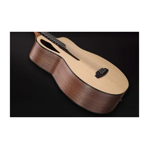 Furch Bc 62-SW 5 Fretless