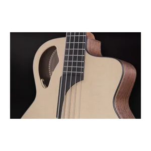 Furch Bc 62-SW 5 Fretless