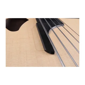 Furch Bc 62-SW 5 Fretless