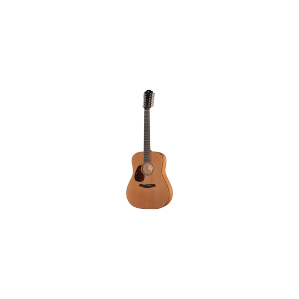 Furch Blue D-CM/12 a VTC LH w/GB