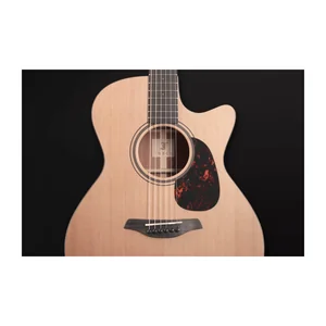 Furch Blue Gc-CM w/Element VTC a