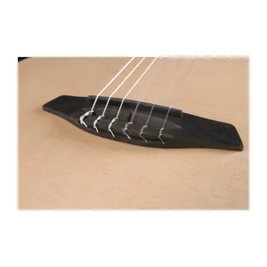 Furch GNC 2-SW a Nylon