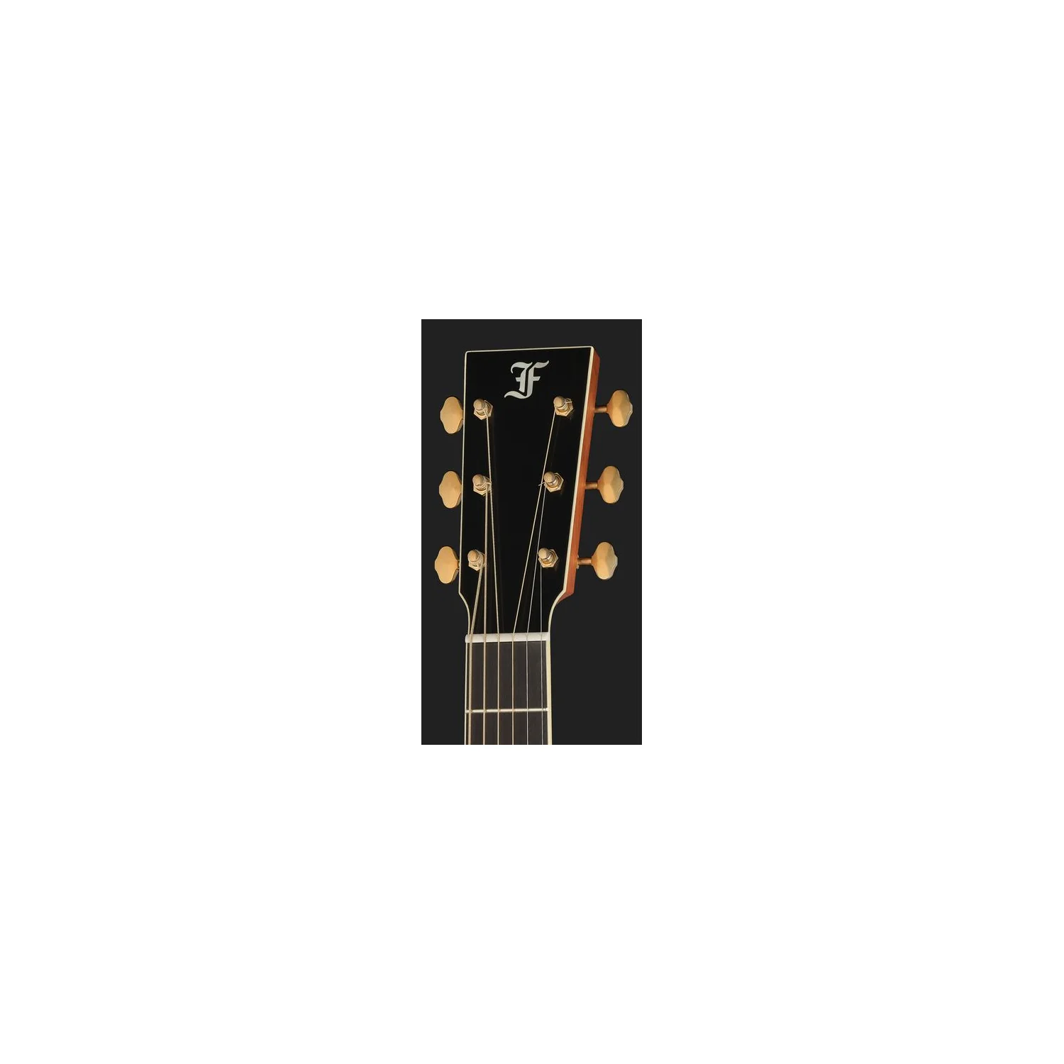 Furch Vintage 2 OM-SX a