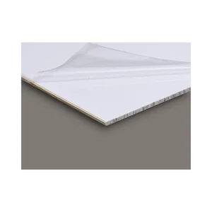 Göldo PG00A Acoustic Pickguard Blank