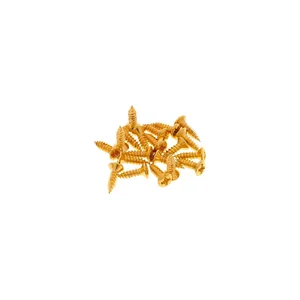Göldo Pickguard Screws GD