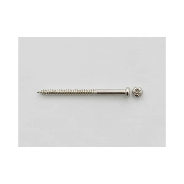 Göldo Screws for Bass Pickups SC