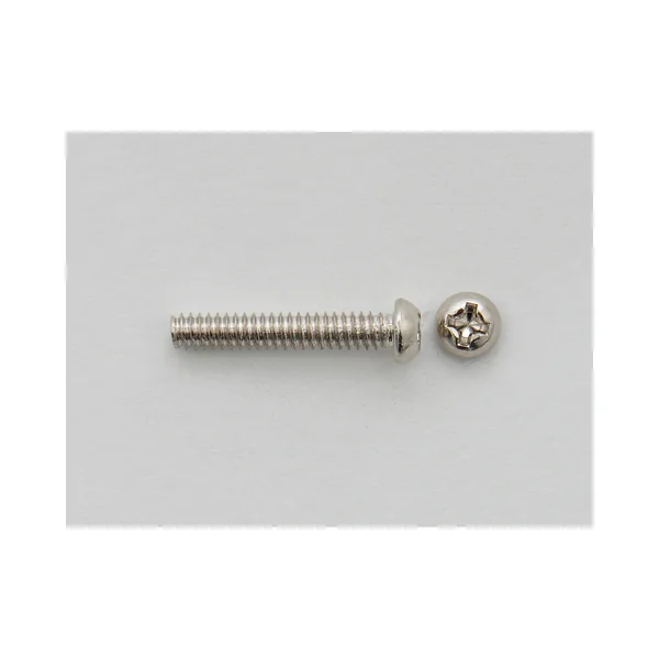 Göldo SR20C Screw f.Single Coils