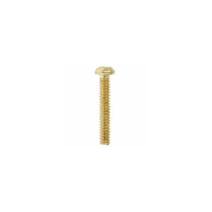 Göldo SR20G Screw f.Single Coils