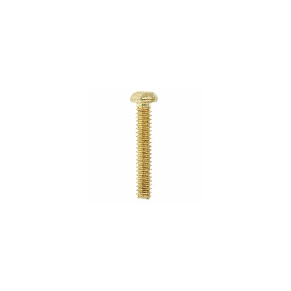 Göldo SR20G Screw f.Single Coils