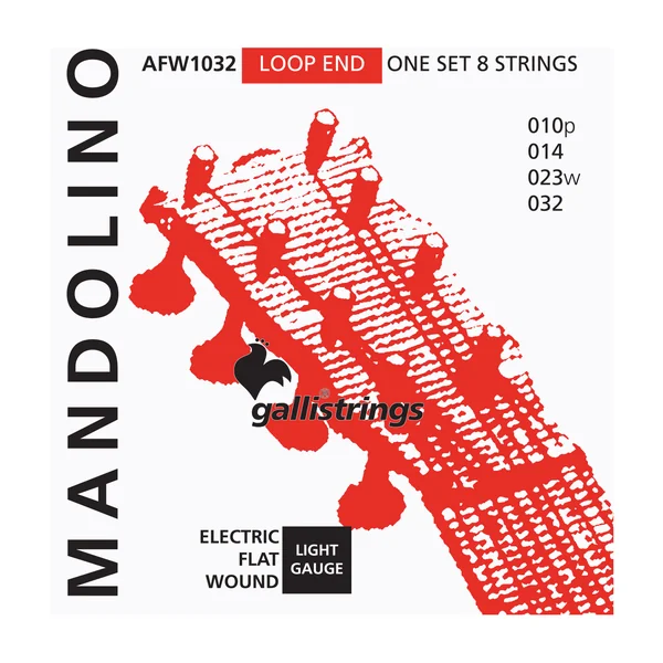 Galli Strings AFW1032 Mandolin Str. Light