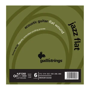 Galli Strings AJF1260 Acoustic Guitar Str.