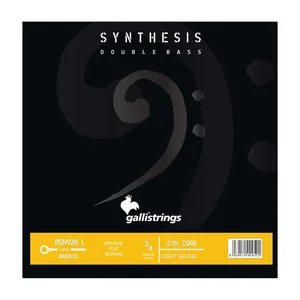 Galli Strings BSN920L Double Bass Strings