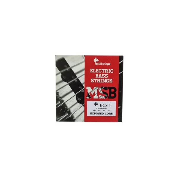 Galli Strings ECS4 Exposed Core Bass Str.