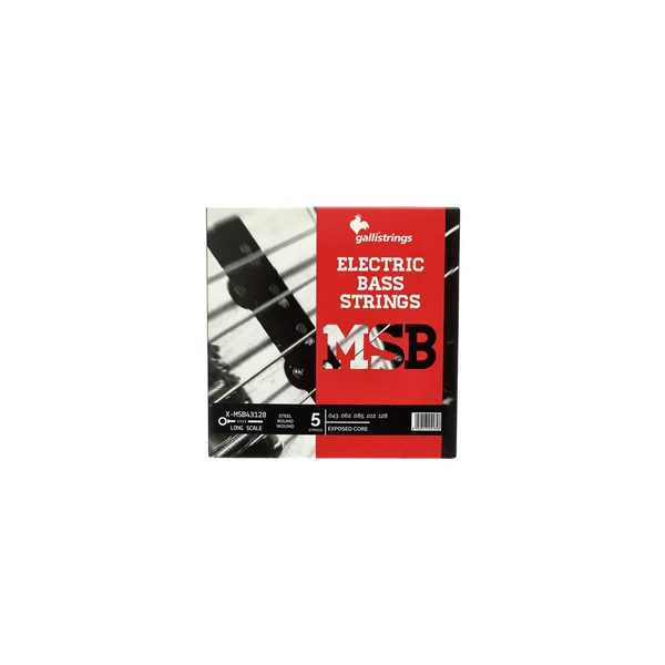 Galli Strings ECS5 Exposed Core Bass Str.