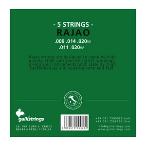 Galli Strings FG005 Rajao Strings