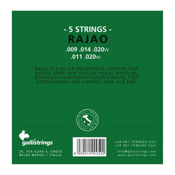 Galli Strings FG005 Rajao Strings